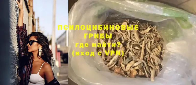 Галлюциногенные грибы MAGIC MUSHROOMS  Павлово 